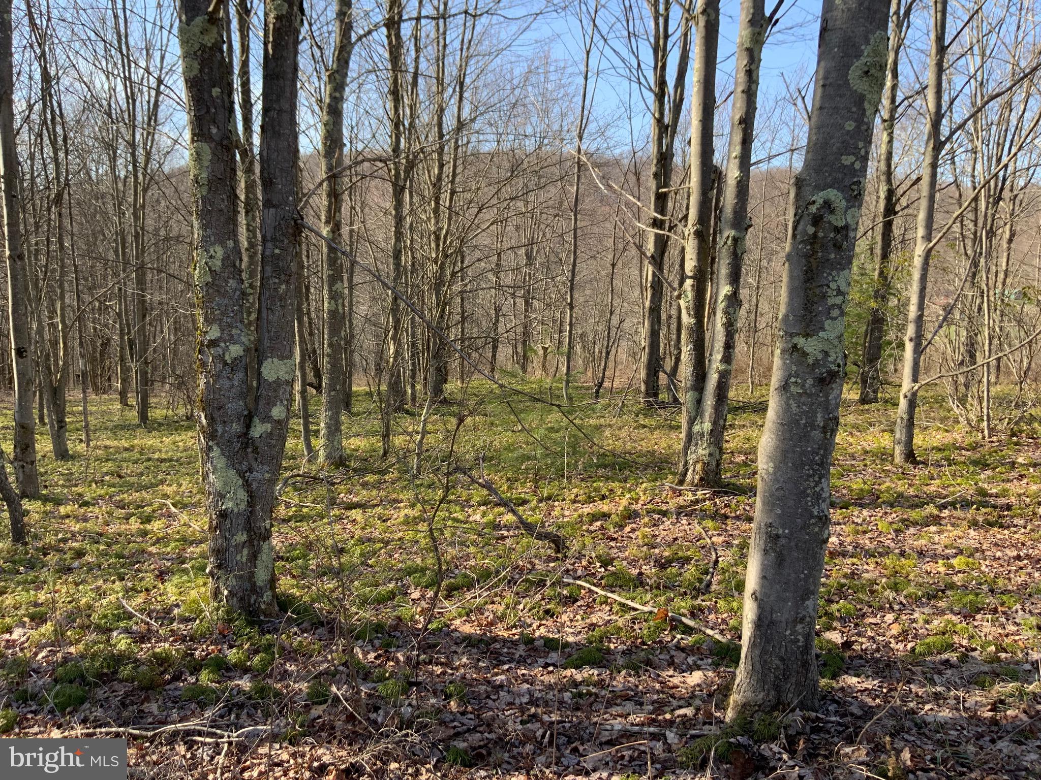 NONE AVAILABLE - Land