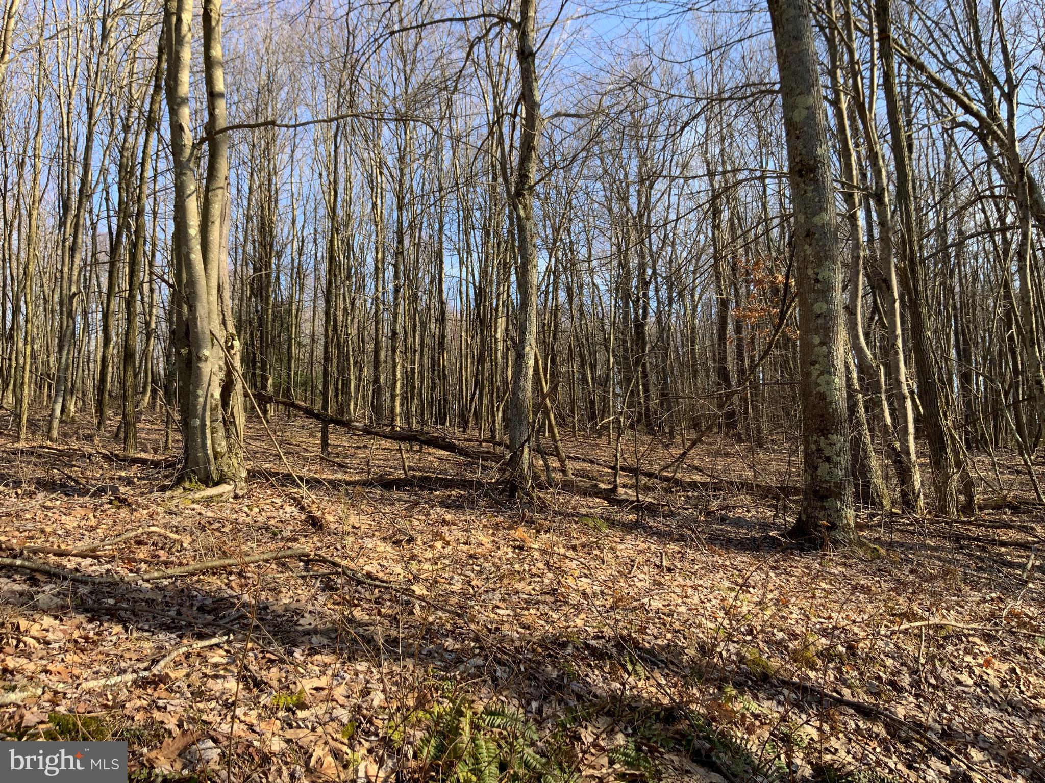 NONE AVAILABLE - Land