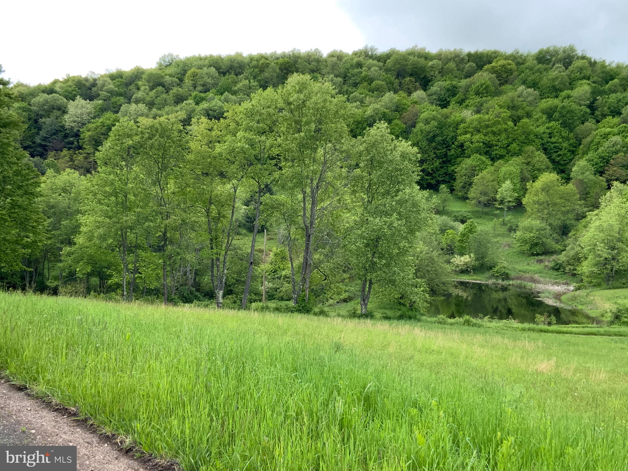 NONE AVAILABLE - Land