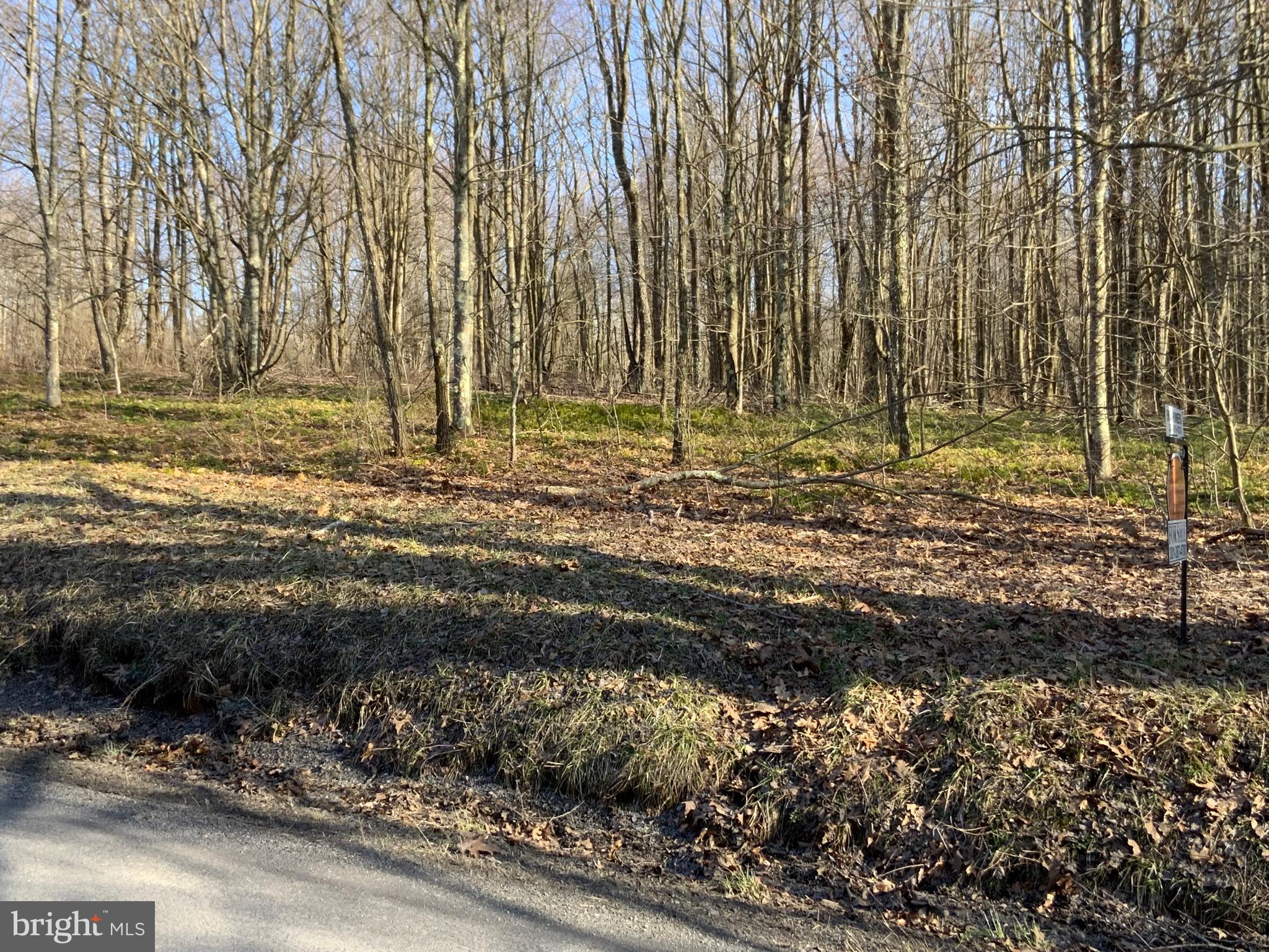 NONE AVAILABLE - Land