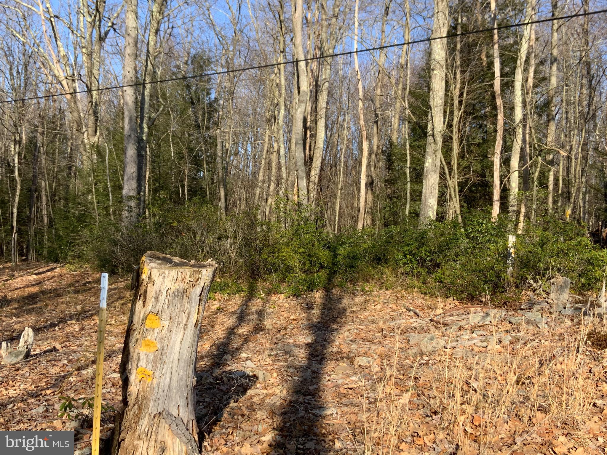 NONE AVAILABLE - Land