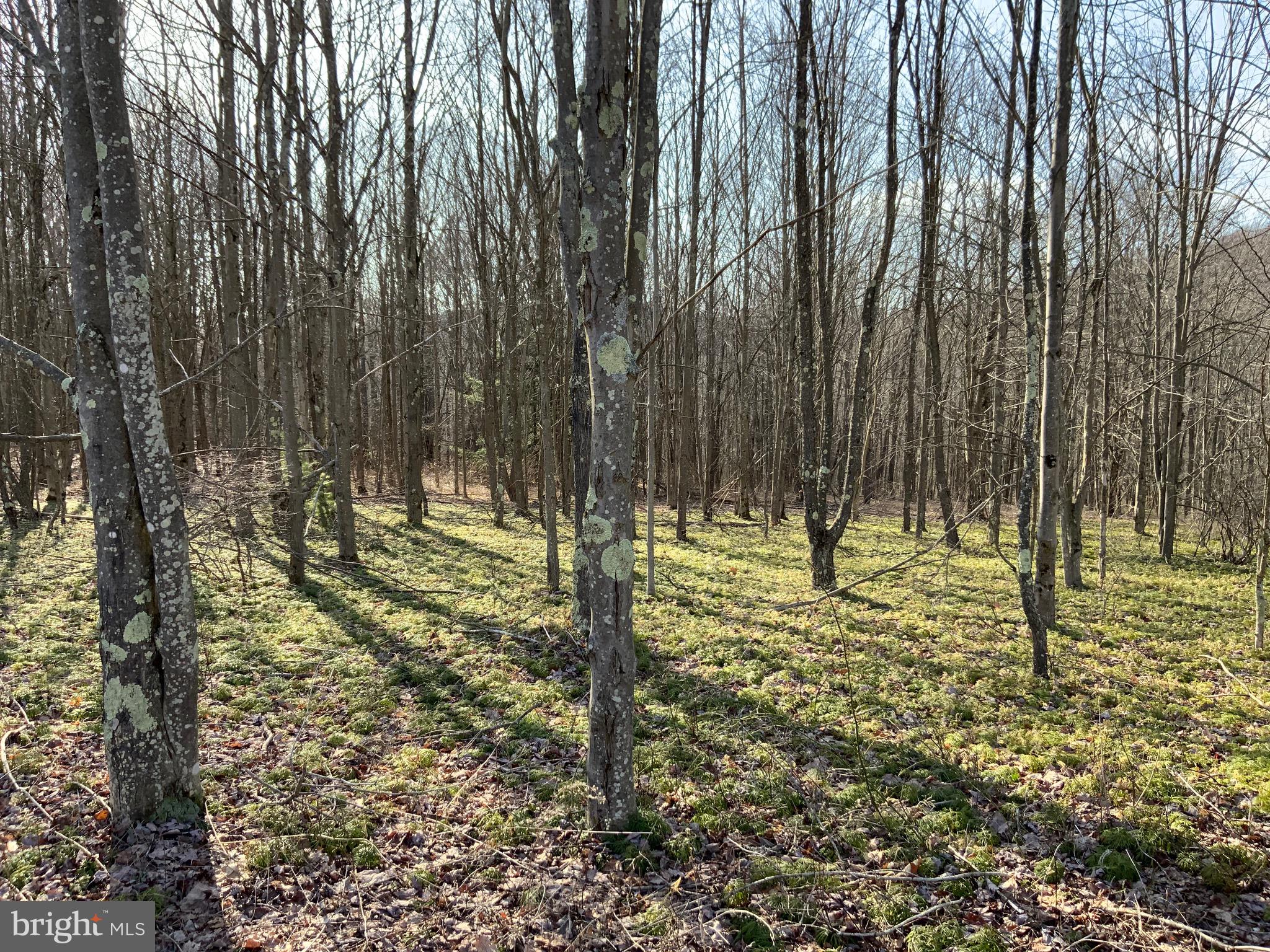 NONE AVAILABLE - Land