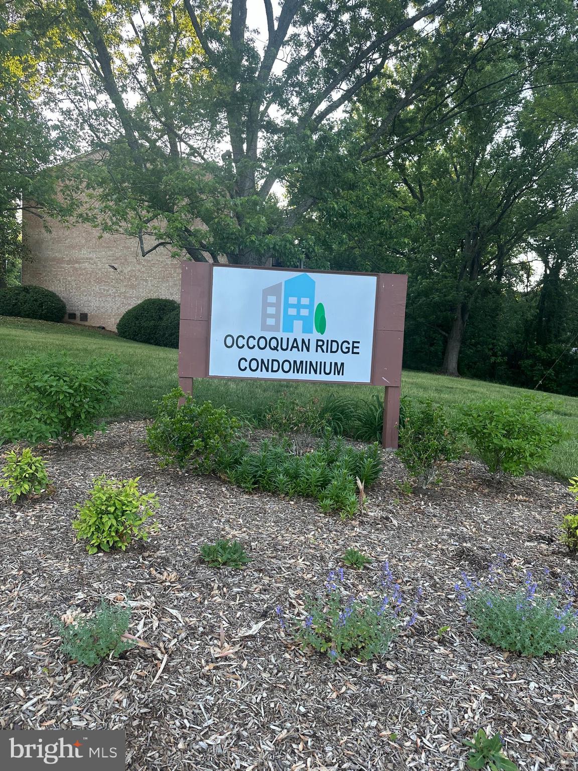 12703 LOTTE DRIVE APT 104