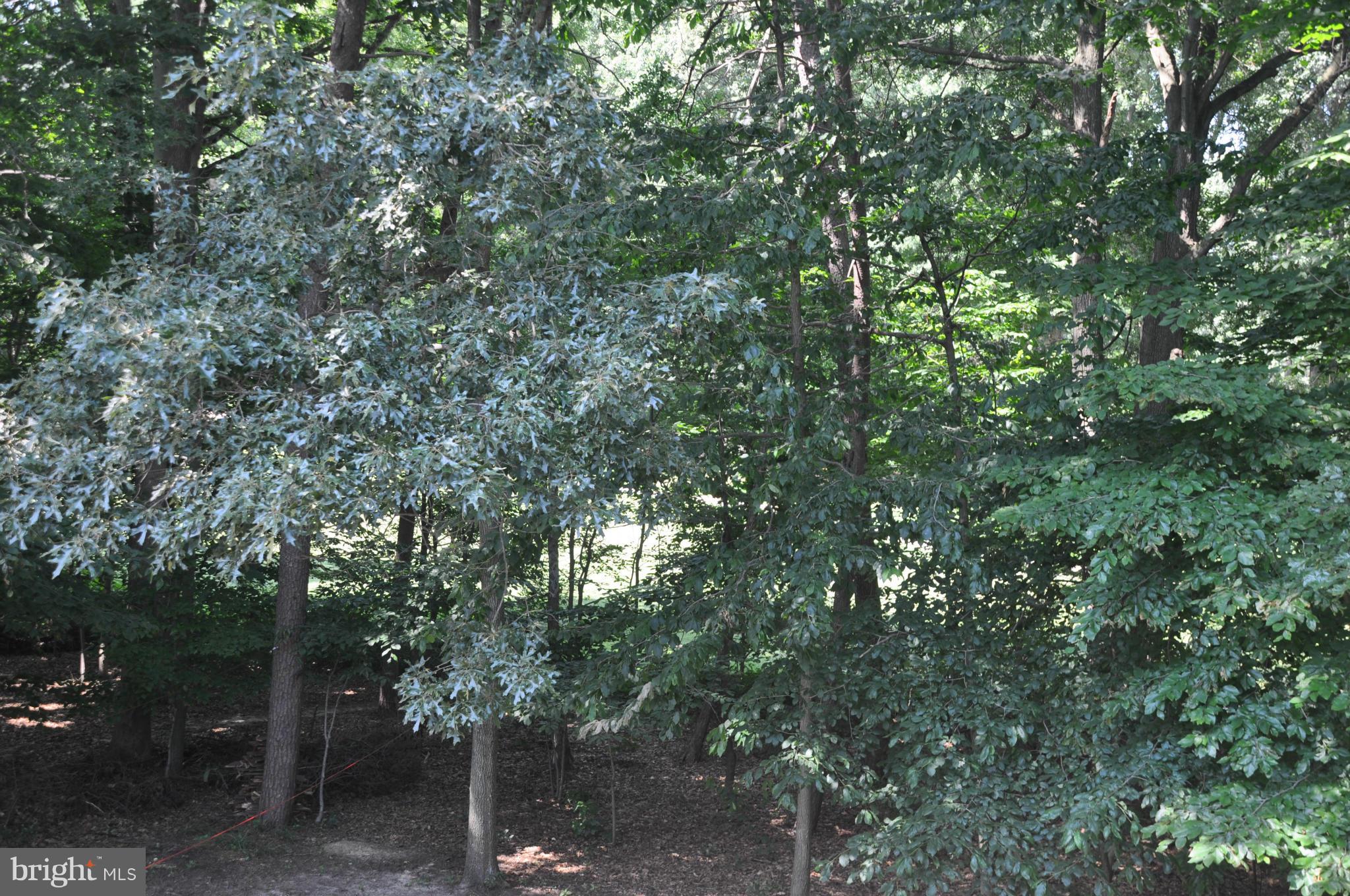 WALDEN - Residential