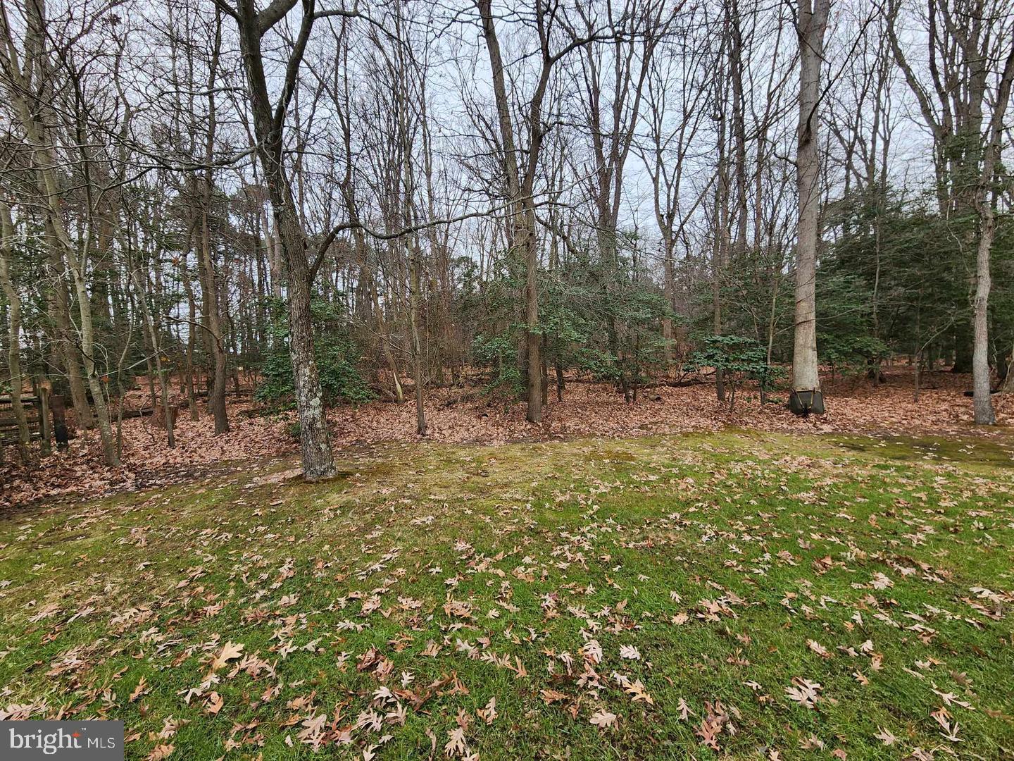 CLAYBORNE WOODS - Residential