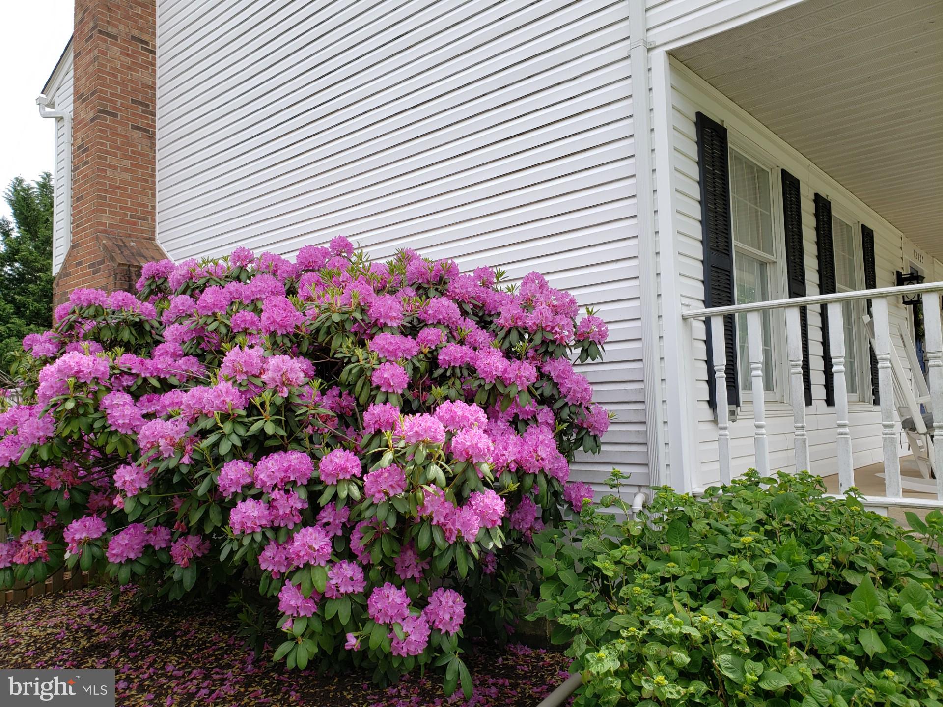 POLO FIELDS - Residential