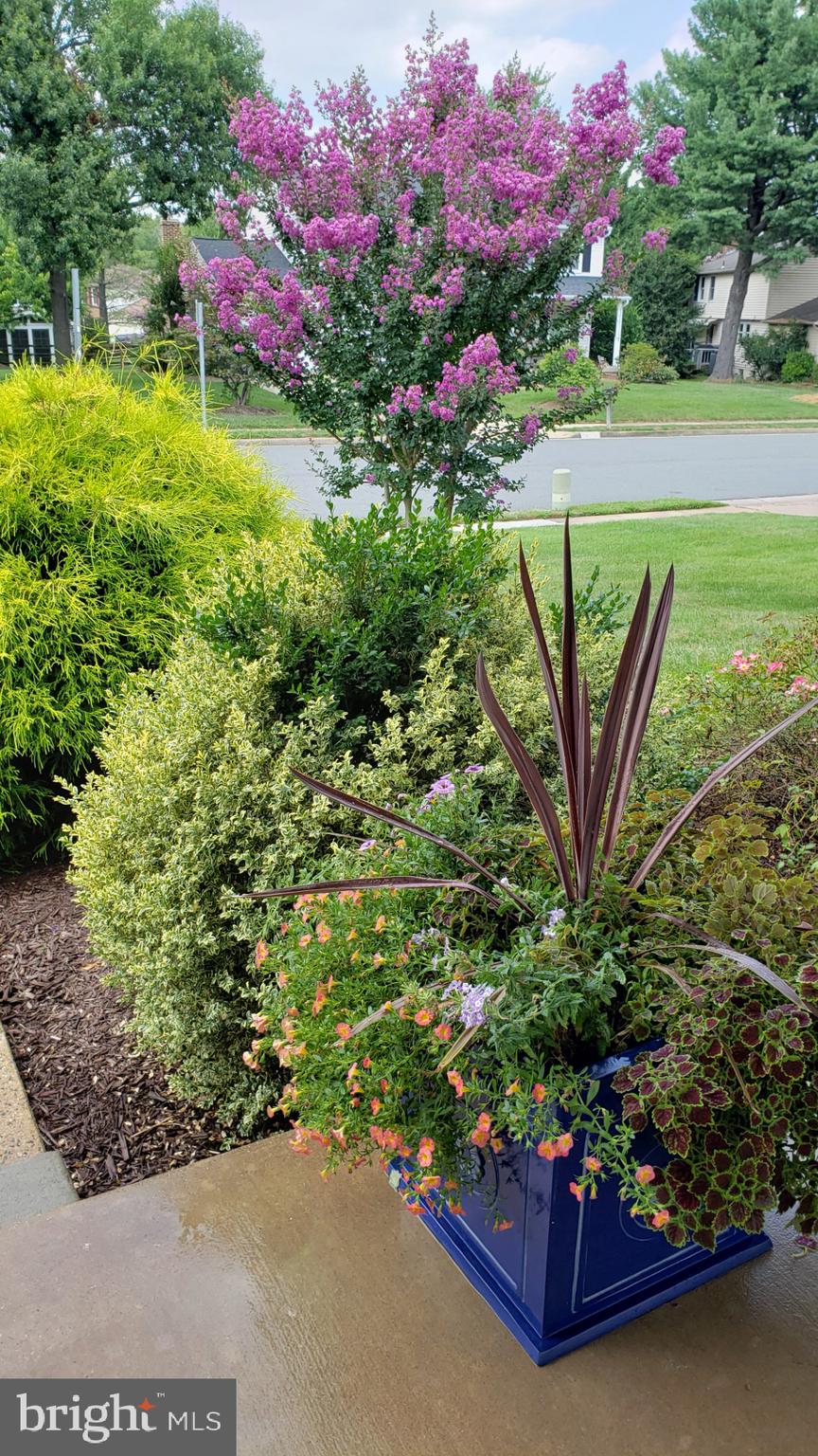 POLO FIELDS - Residential