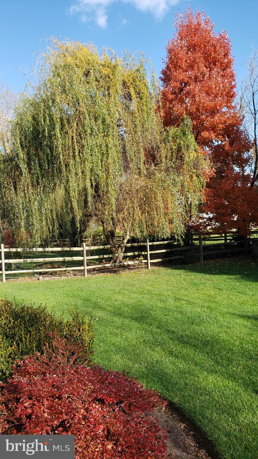 POLO FIELDS - Residential