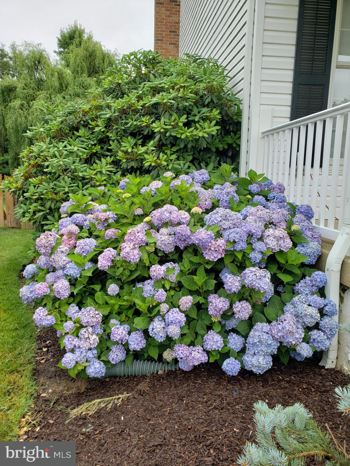 POLO FIELDS - Residential