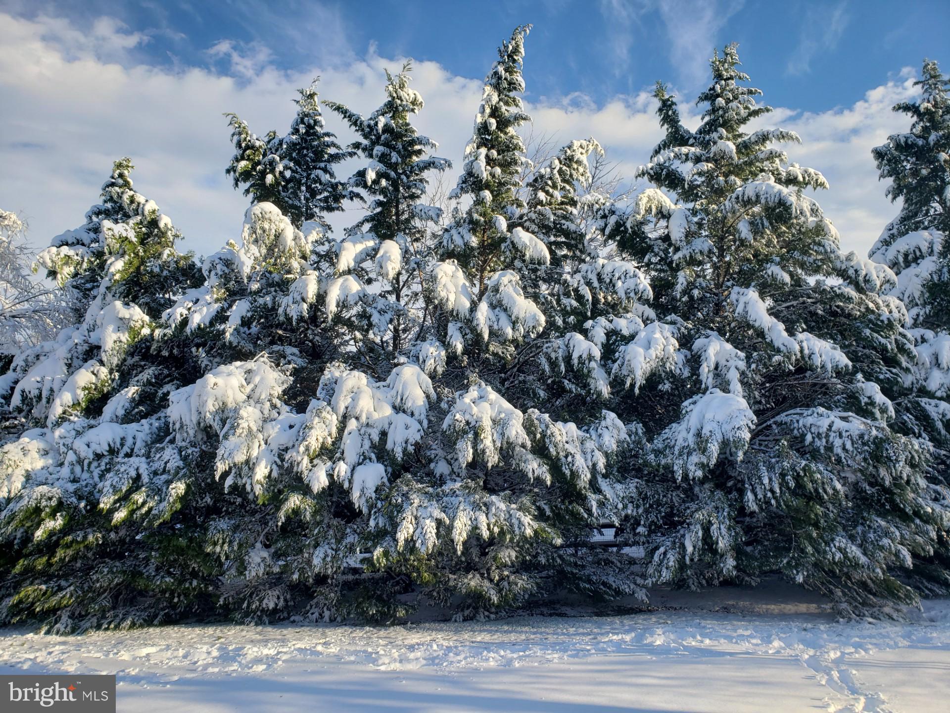 POLO FIELDS - Residential