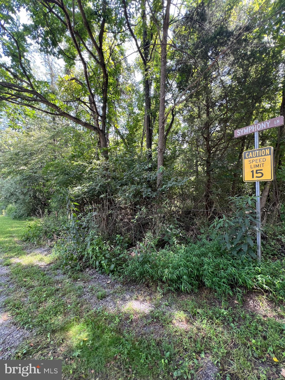 RIVERSIDE ACRES - Land