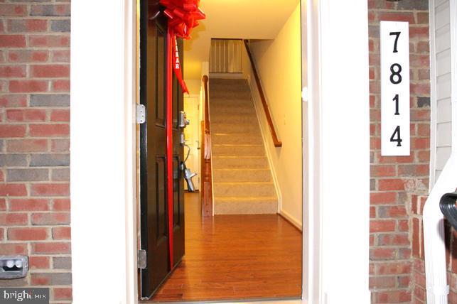 BLUE STREAM - Residential Lease