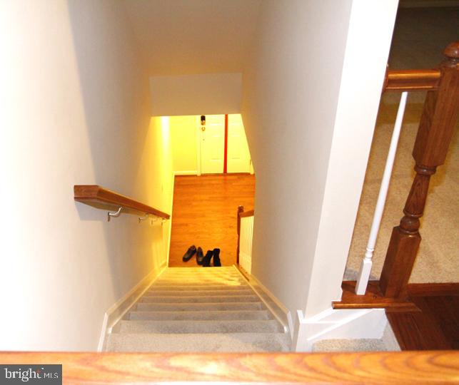 BLUE STREAM - Residential Lease