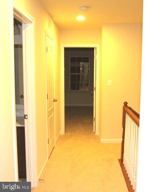 BLUE STREAM - Residential Lease