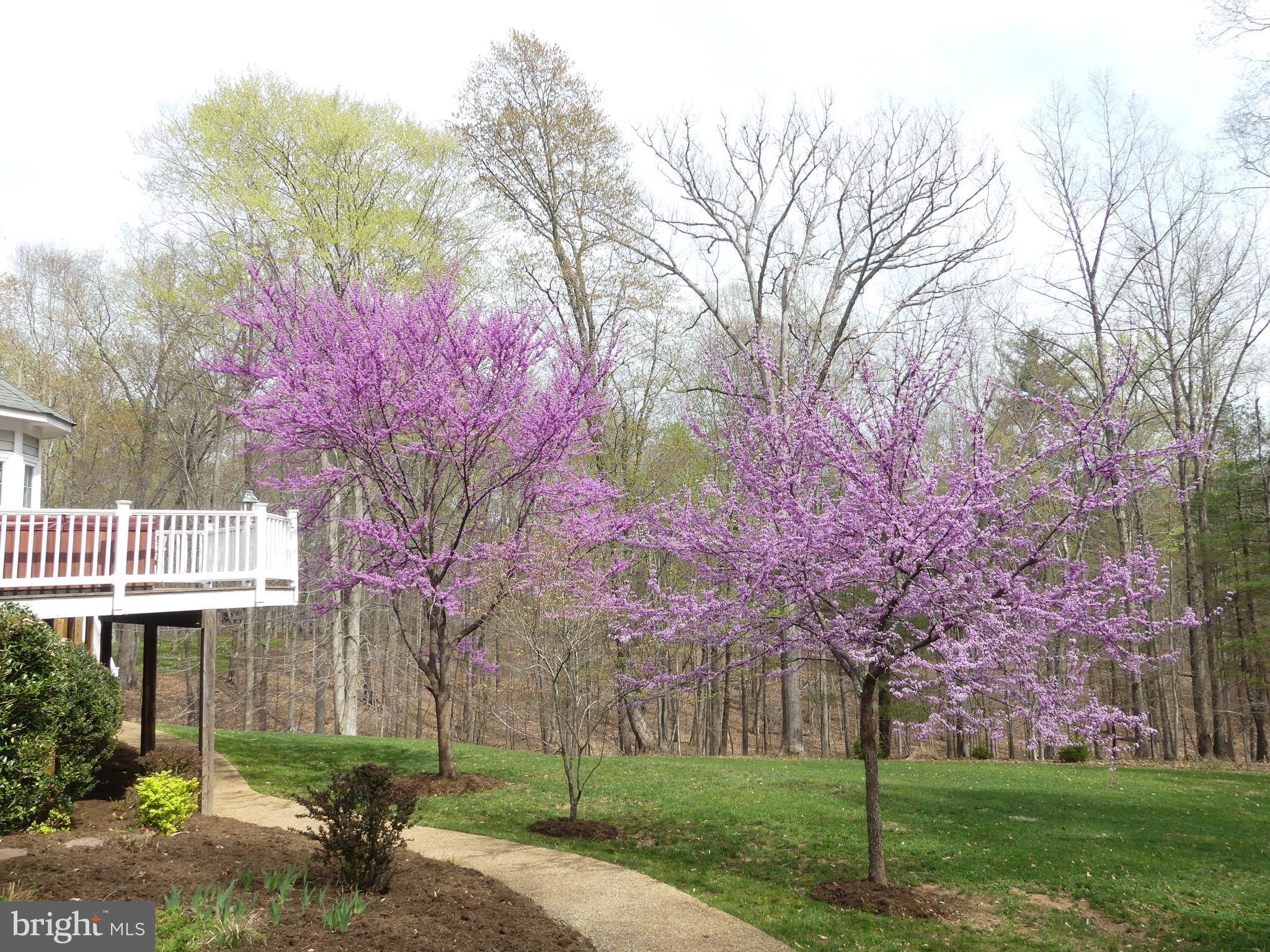 BENTIVAR - Residential