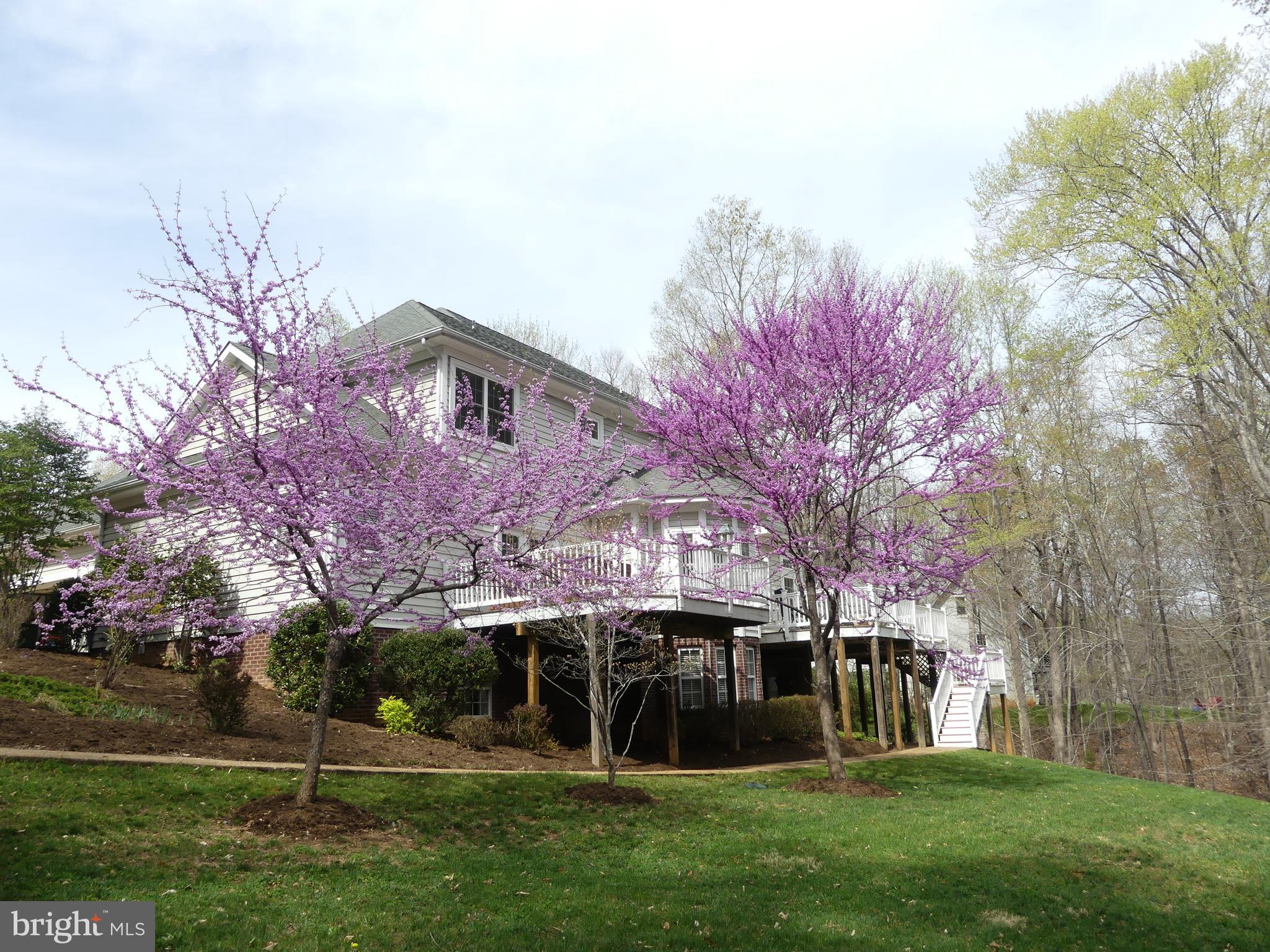 BENTIVAR - Residential