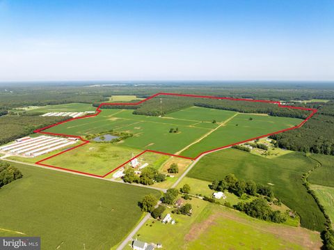 3203 BETHEDEN CHURCH ROAD POCOMOKE CITY MD 21851