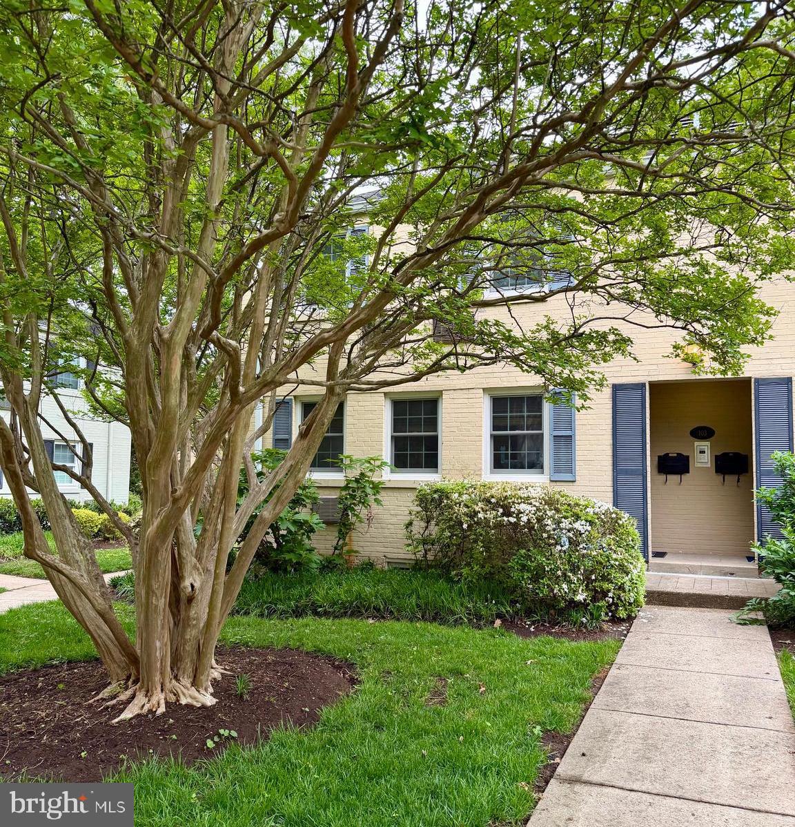 103 N GEORGE MASON DRIVE