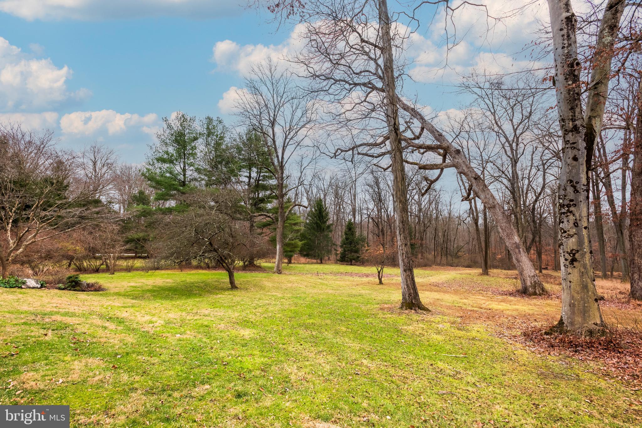 LEOPARD - Residential