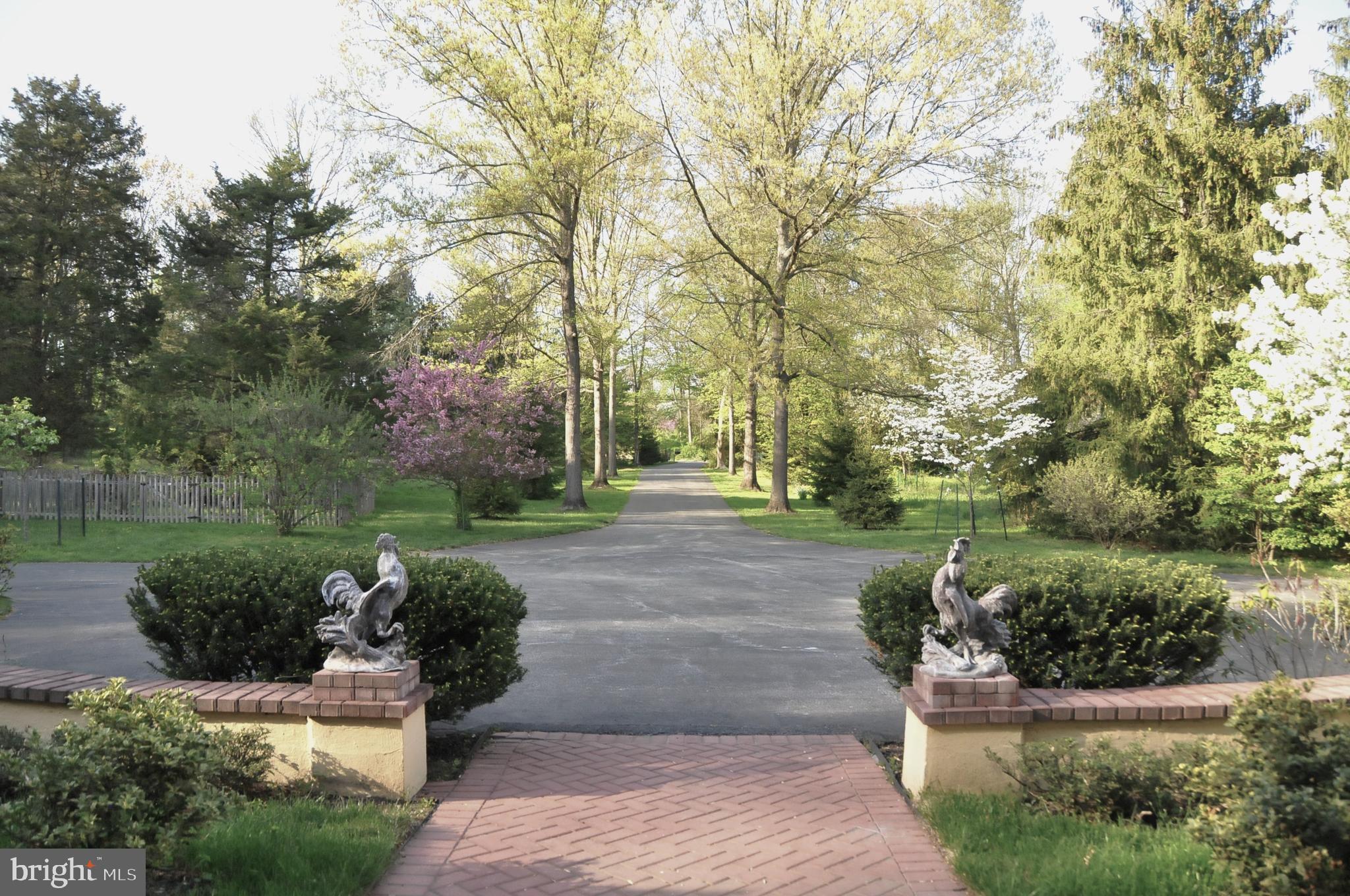 LEOPARD - Residential