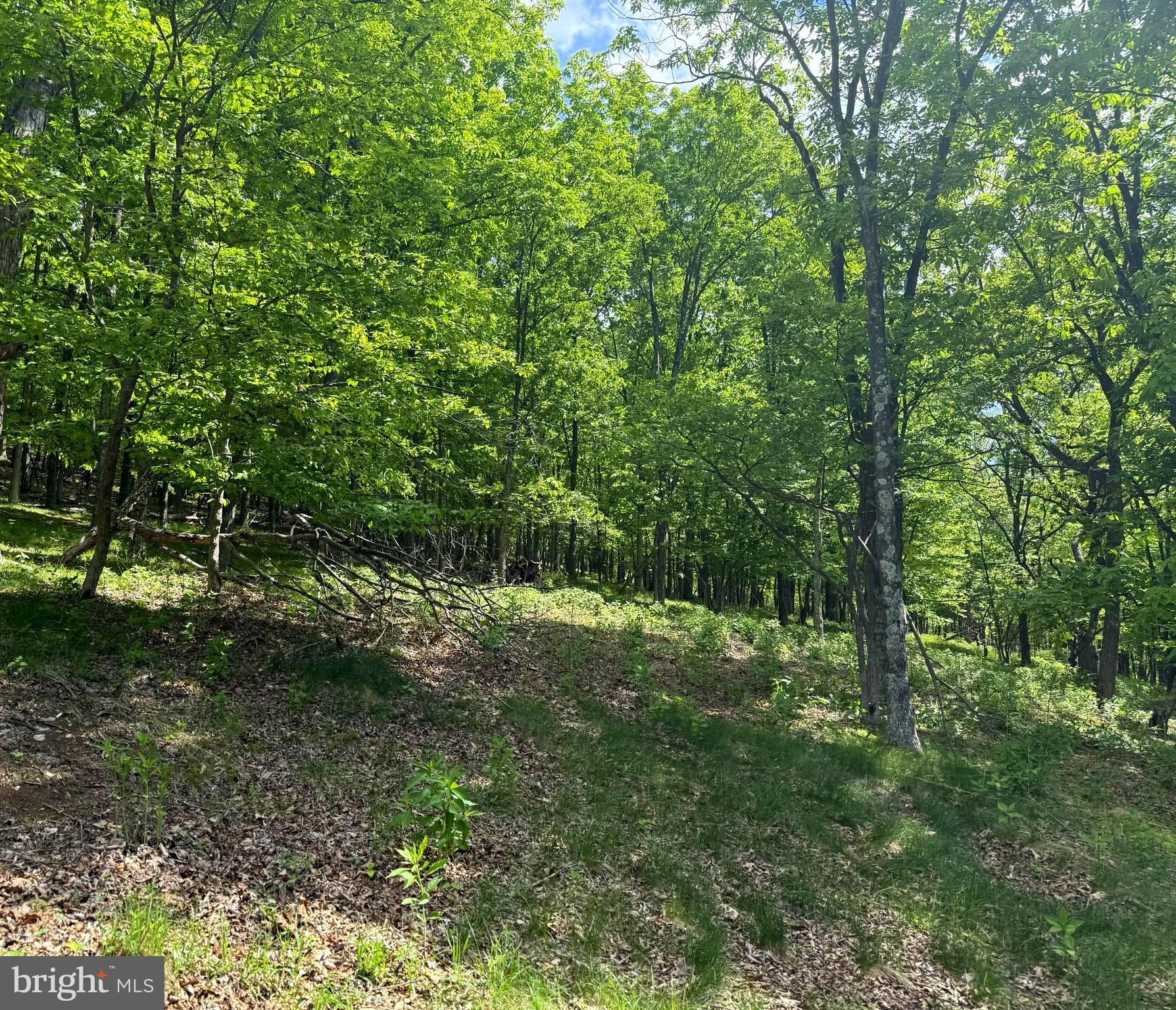 Lot 55 & 56 SARAH LINCOLN DR.
