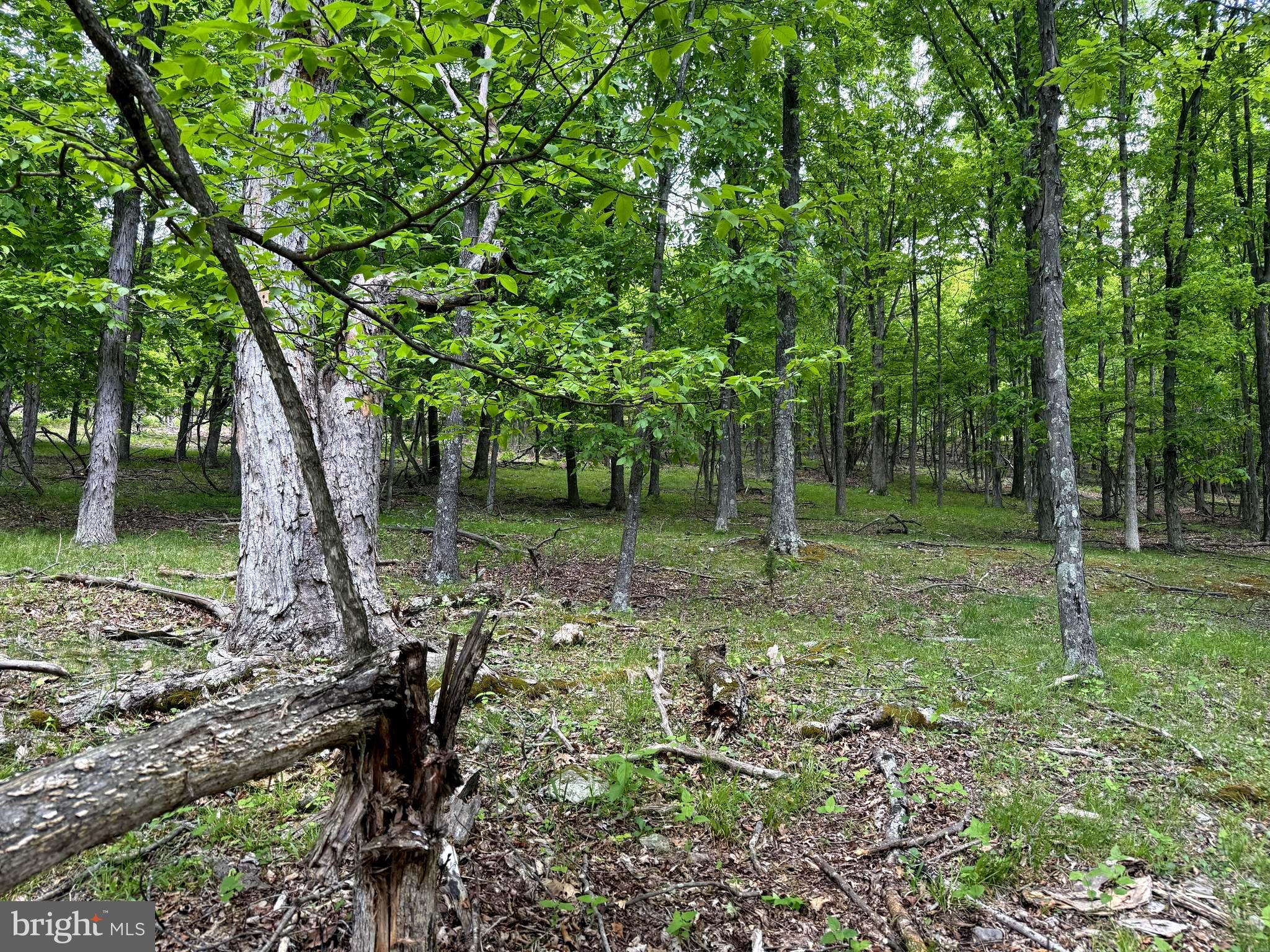 Lot 55 & 56 SARAH LINCOLN DR.
