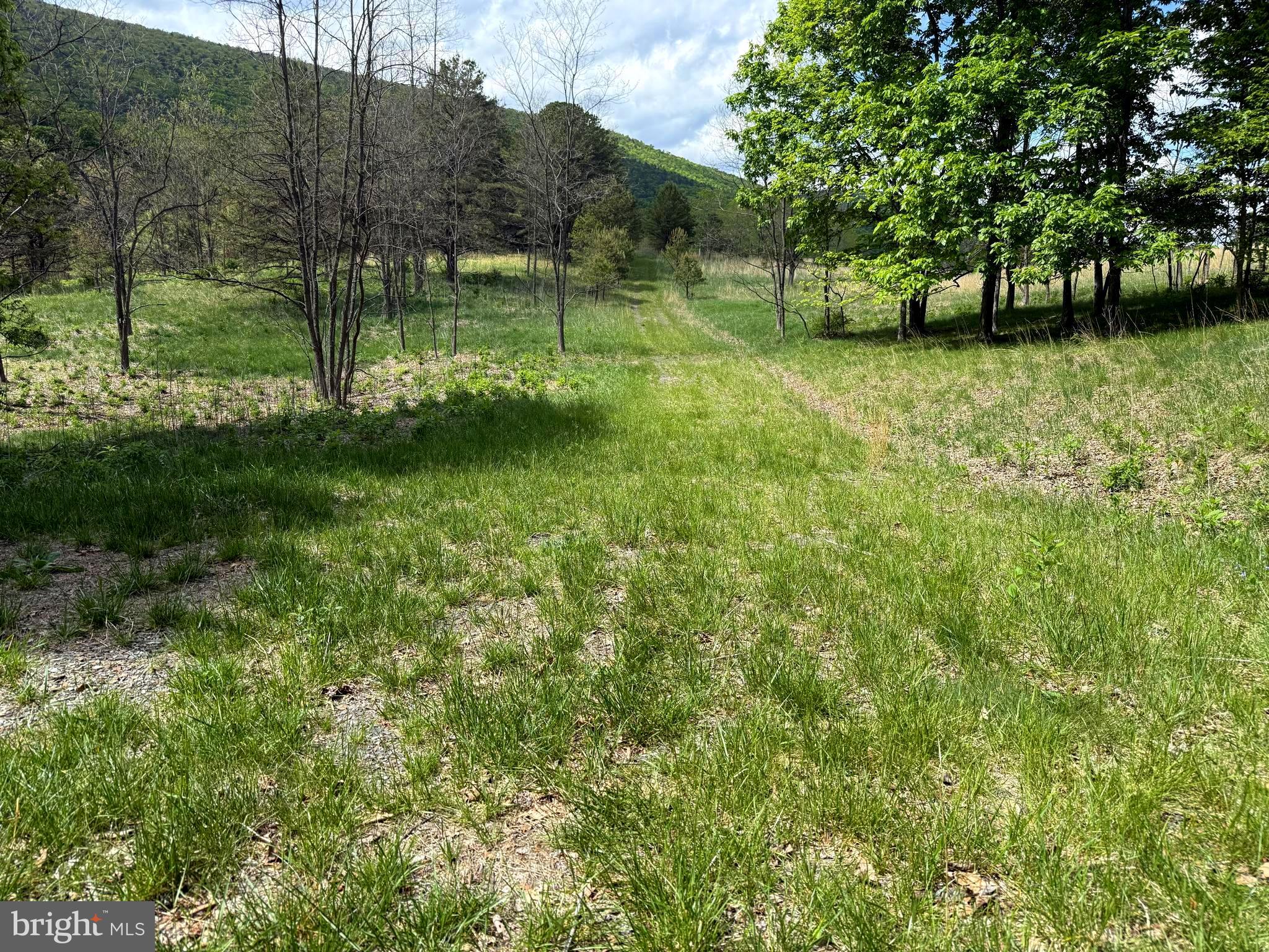 Lot 55 & 56 SARAH LINCOLN DR.
