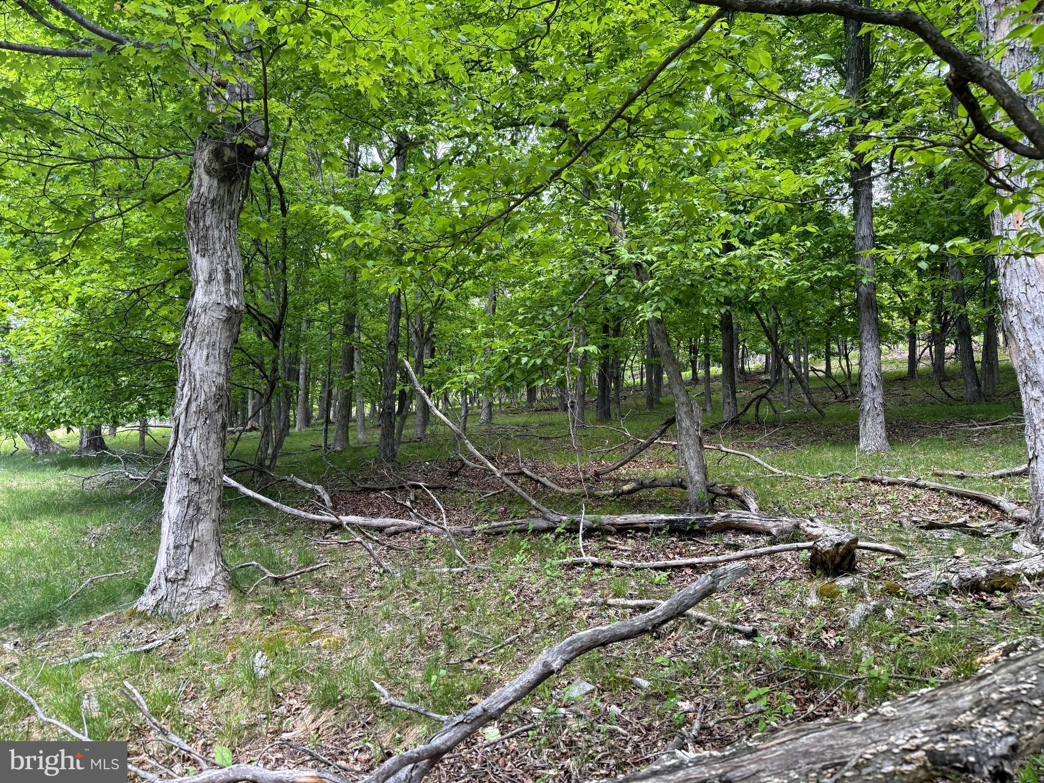 Lot 55 & 56 SARAH LINCOLN DR.