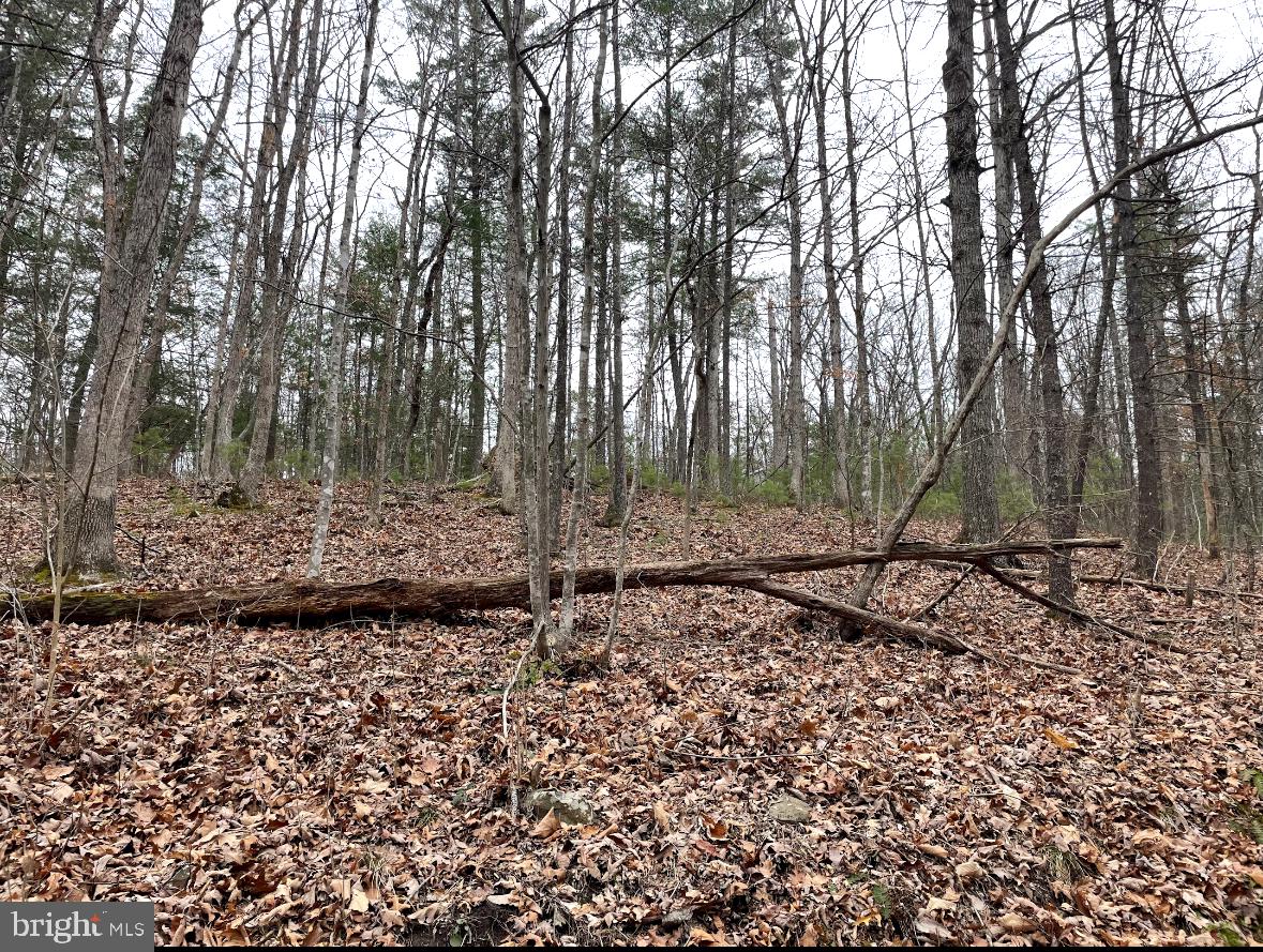 BRYCE  MOUNTAIN  RESORT - Residential