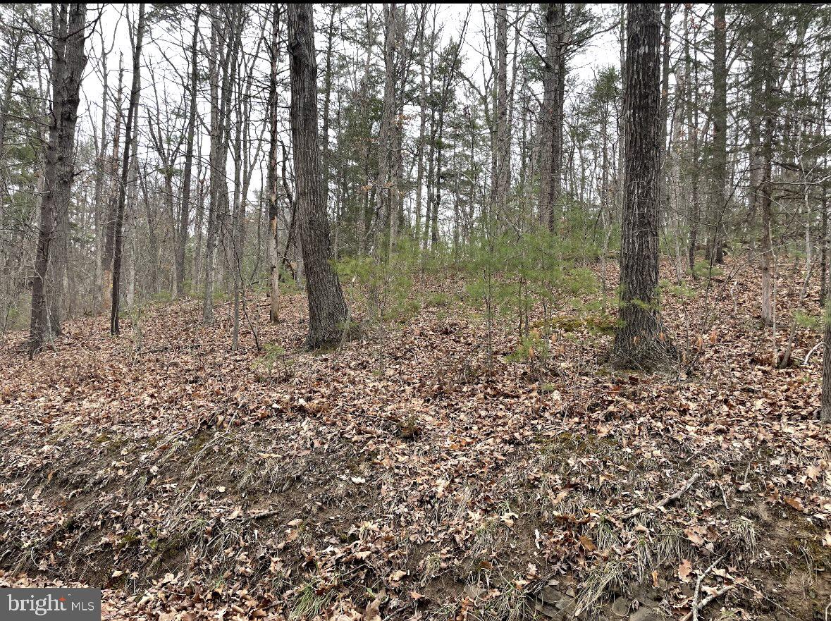 BRYCE  MOUNTAIN  RESORT - Residential