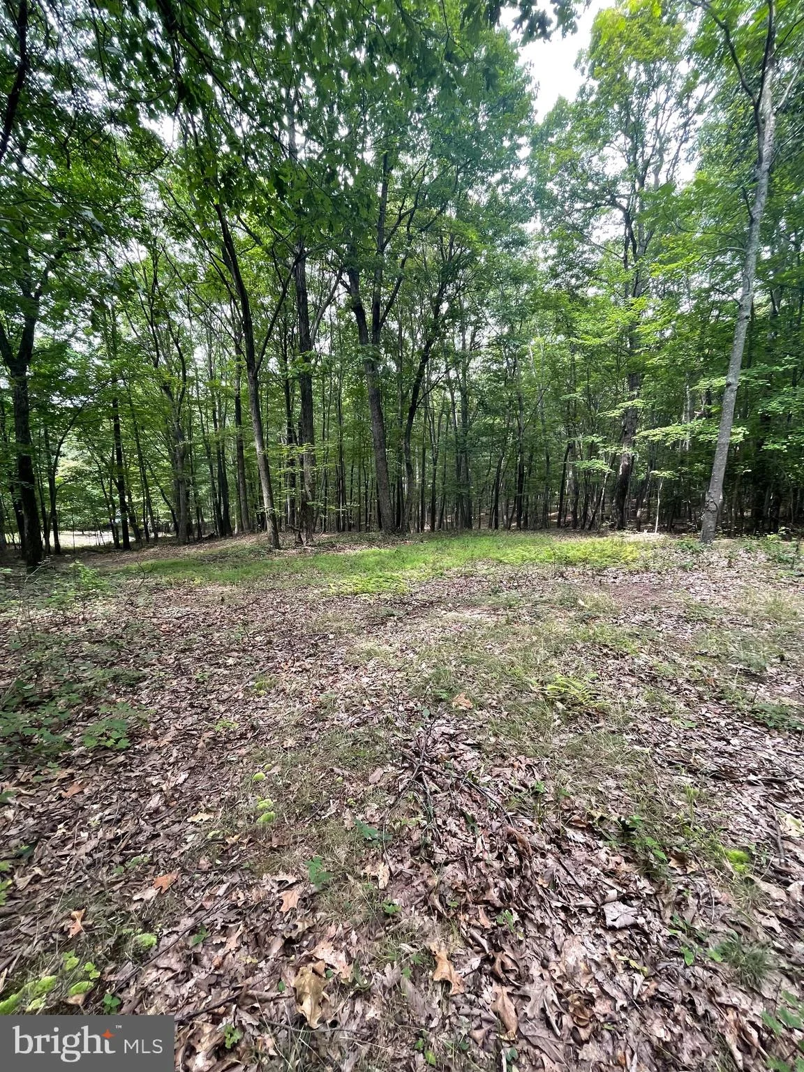 Rons Drive, Augusta, WV 26704