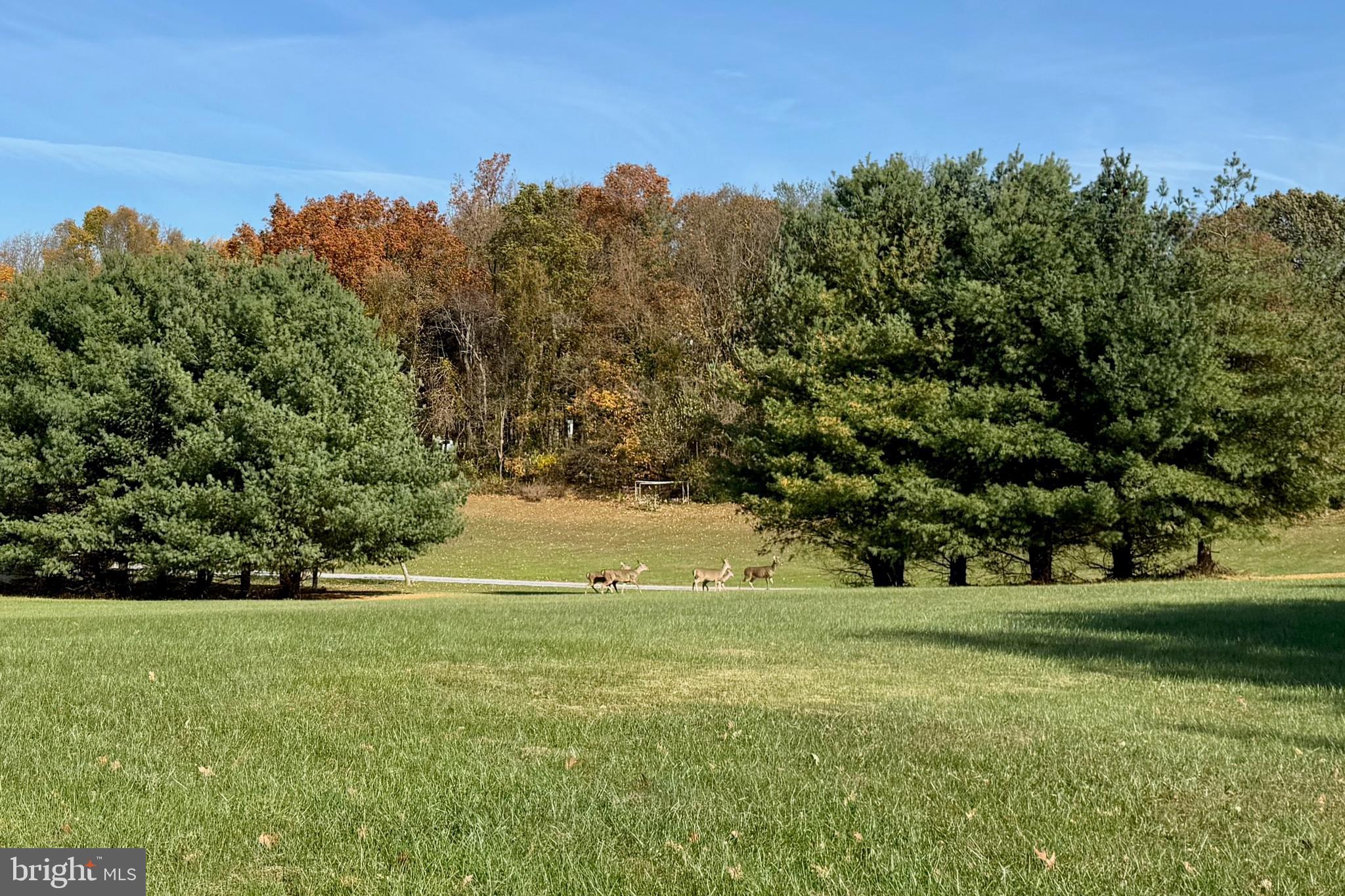 STILL POND CREEK ROAD
