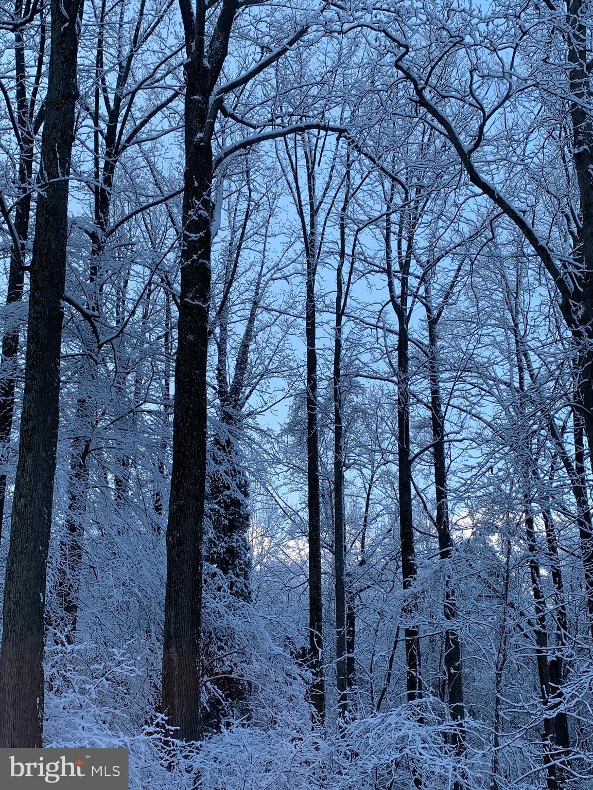 HICKORY HILL - Residential