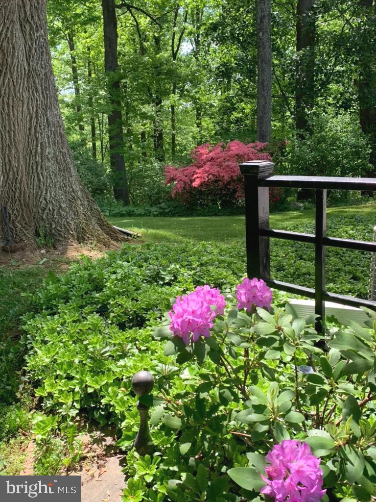 HICKORY HILL - Residential