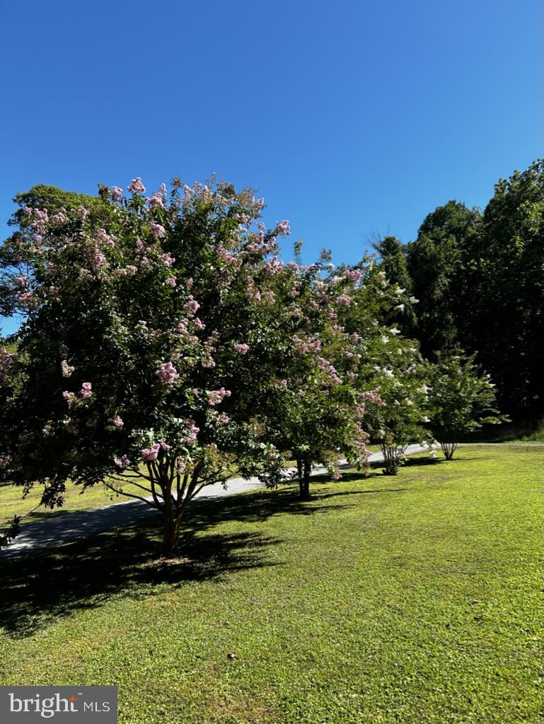 HICKORY HILL - Residential