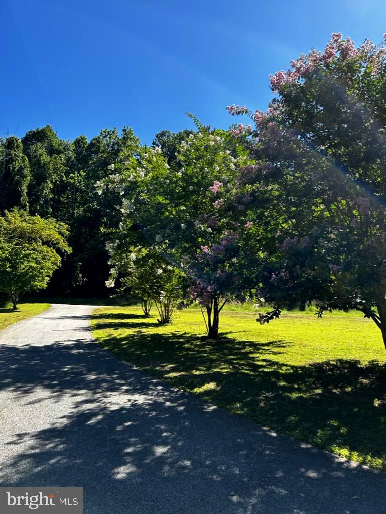 HICKORY HILL - Residential