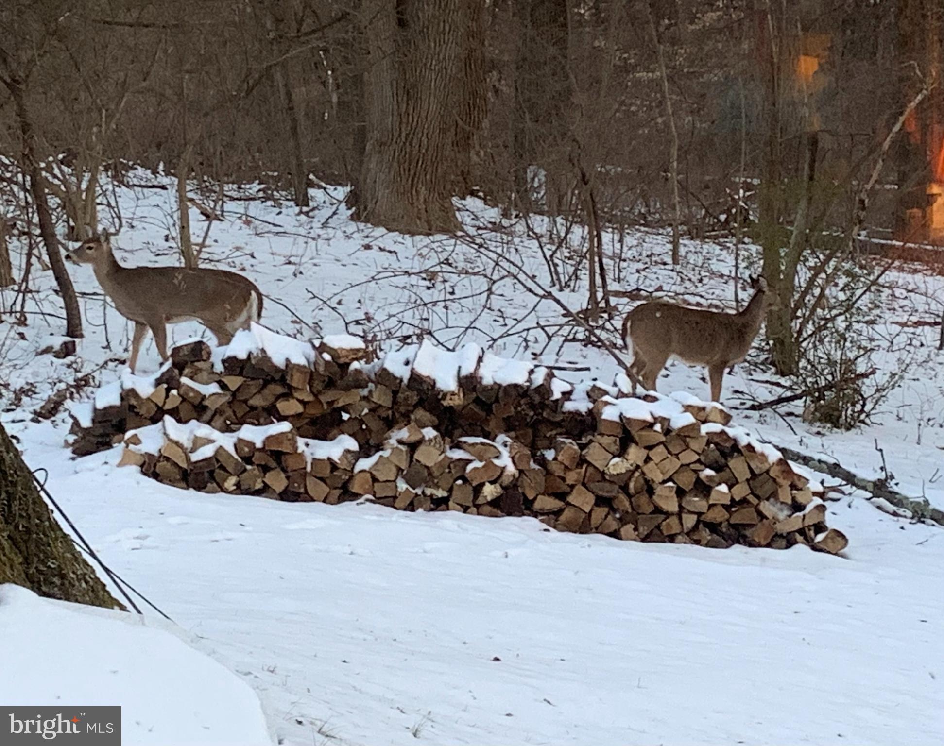 HICKORY HILL - Residential
