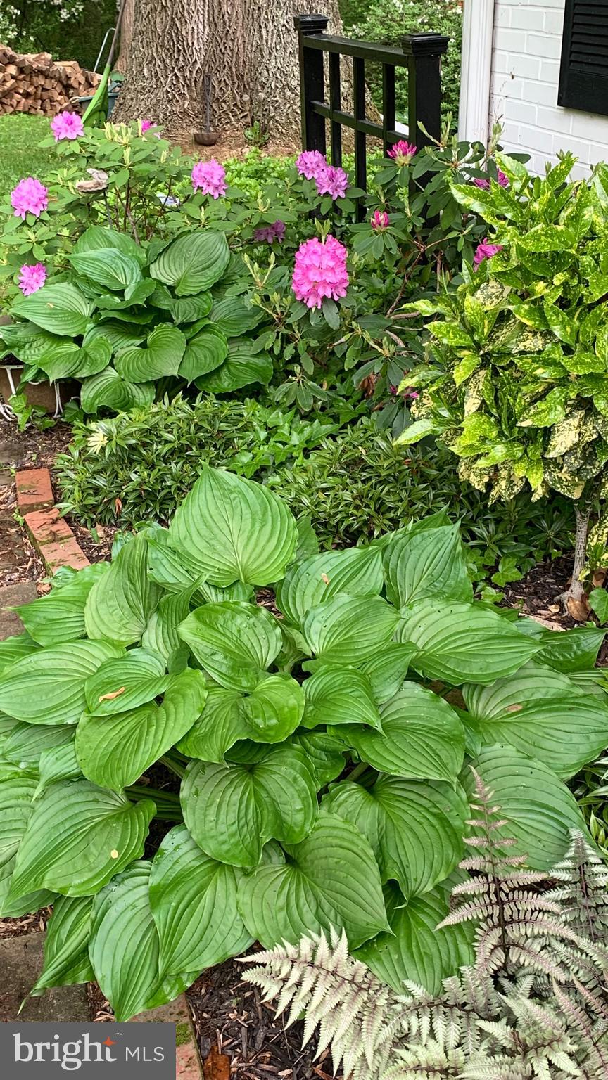 HICKORY HILL - Residential