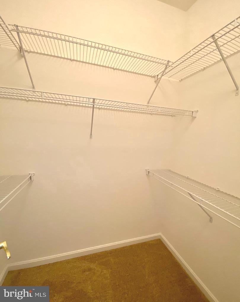 SALEM FIELDS - Residential Lease