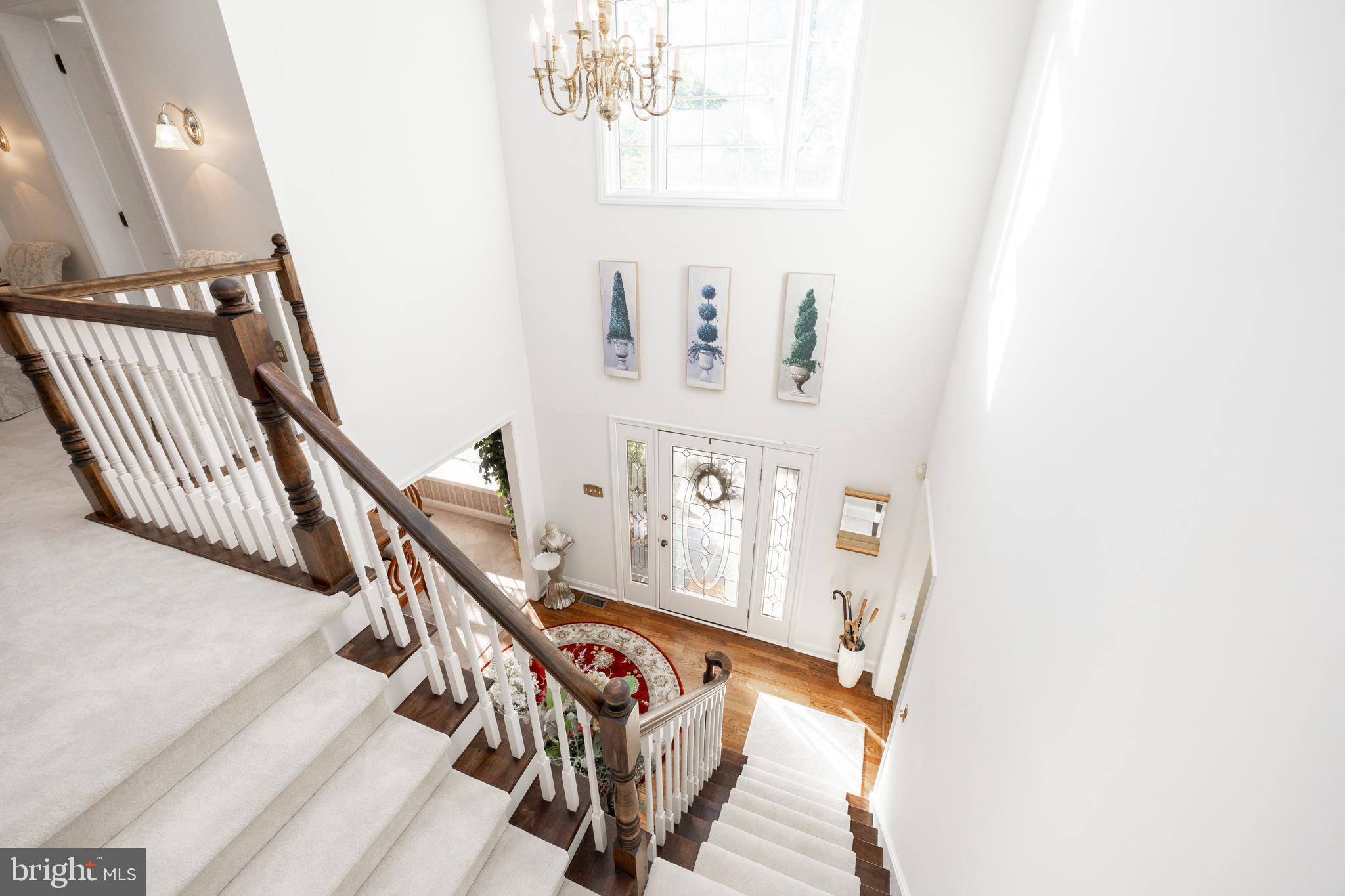 BARTON MEADOWS - Residential