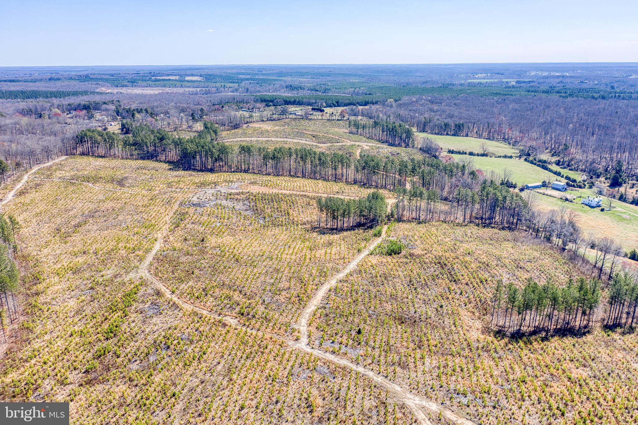 SHEPPERDS GROVE - Land