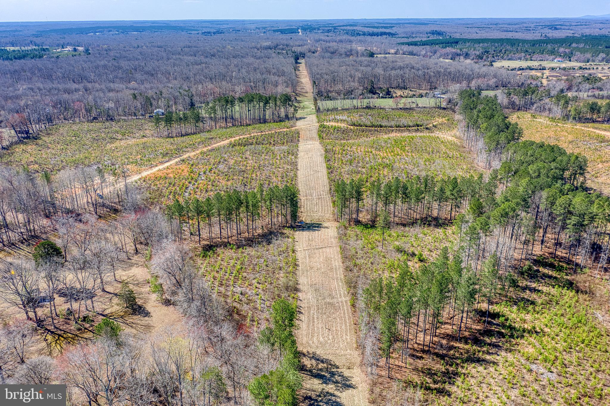 SHEPPERDS GROVE - Land