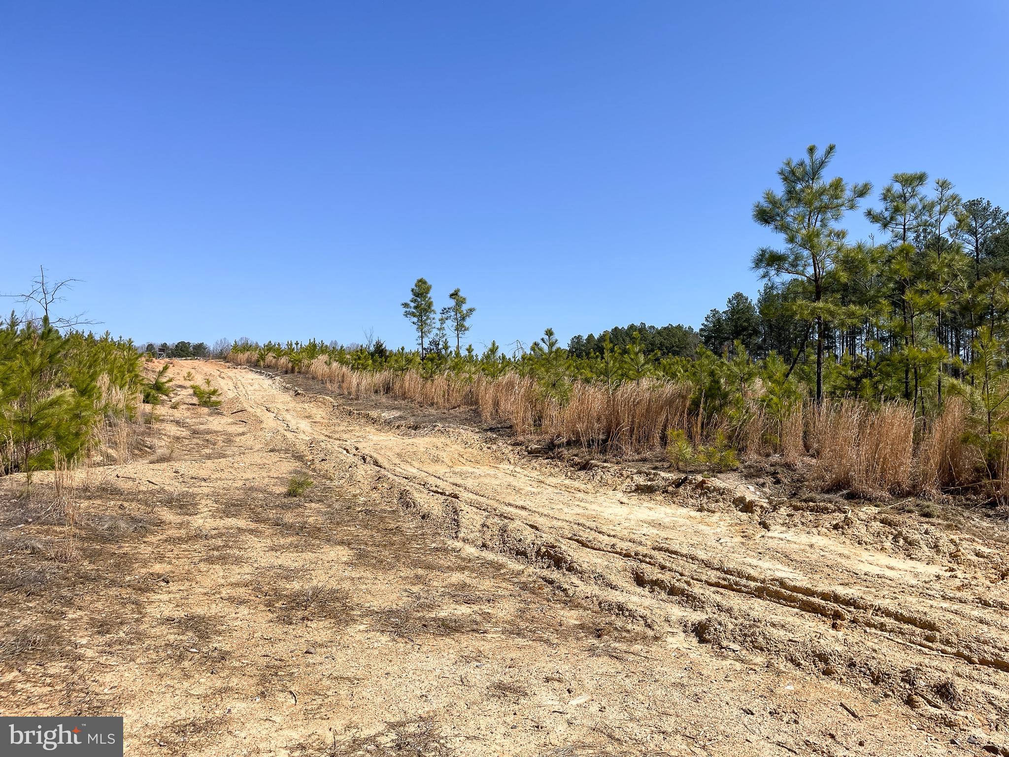 SHEPPERDS GROVE - Land