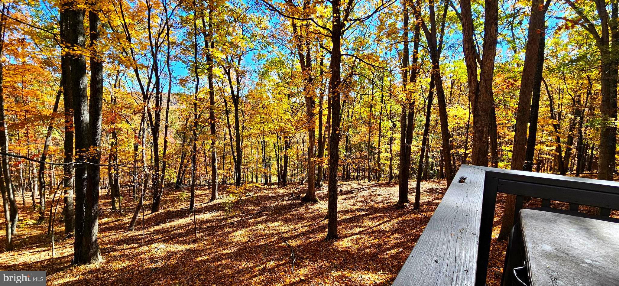 COOLFONT MOUNTAINSIDE - Residential Lease