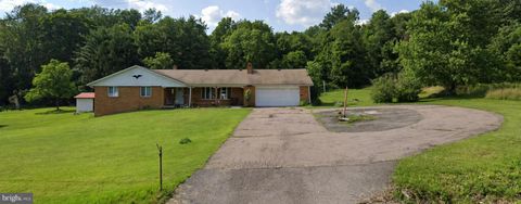 10233 PARKERSBURG ROAD ECKHART MINES MD 21528