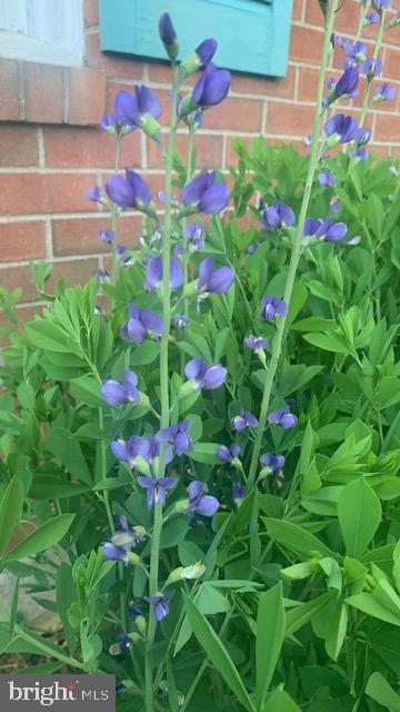 WESTOVER CHASE - Residential