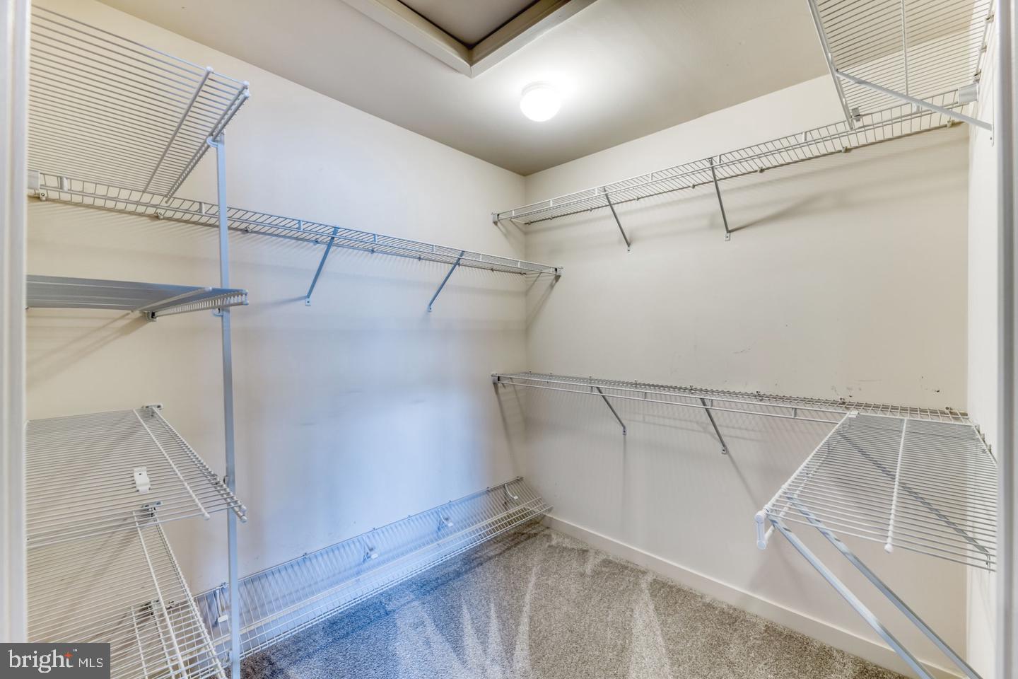 CABIN BRANCH - Residential Lease