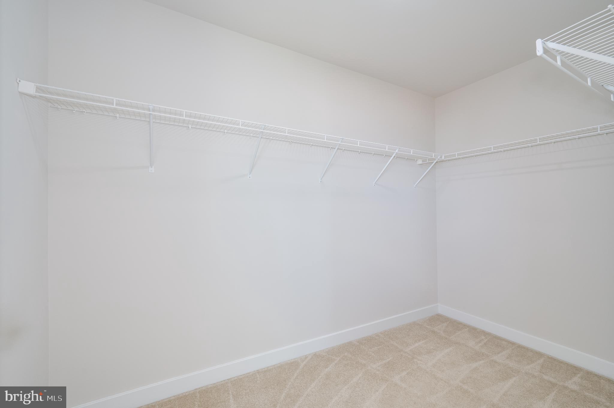 CARDINAL POINTE - Residential Lease