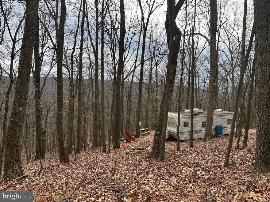 IF SECLUSION WITH A VIEW IS WHAT YOU SEEK, THEN THIS 5.6 ACRE PIECE OF PROPERTY ON SECLUDED COURT IS WHAT YOU HAVE BEEN WAITING TO MAKE YOUR OWN. THE PROPERTY OFFERS CAMPING, PICNIC/BONFIRE AREA, ESTABLISHED DRIVEWAY, HUNTING, TARGET SHOOTING, HIKING, WILDLIFE WATCHING, STAR GAZING AND PRIVACY.  THE PROPERTY HAS AN ELECTRONIC GATE AT THE END OF SECLUDED COURT TO PROVIDE SECURITY. THE CAMPER MAY STAY WITH AGREEABLE OFFER. DON'T MISS OUT ON THIS PIECE OF WV MOUNTAIN GET AWAY!