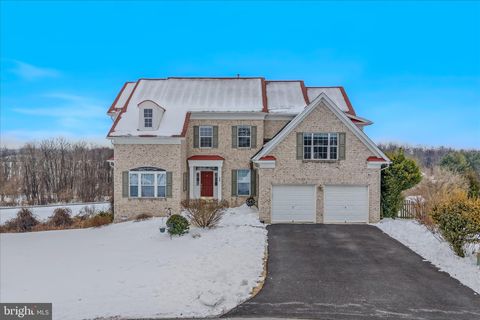 48 FIELD CREST COURT SHEPHERDSTOWN WV 25443